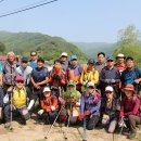 2015년 5월 24일 대암산(1,316 m) 곰취 축제 **산림청 선정 100대 명산 이미지