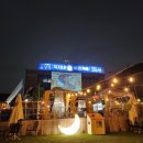 옥자네애견카페 유치원 호텔 미용 이미지