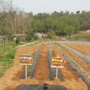 호반농장 이미지