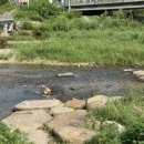 반석펜션 이미지