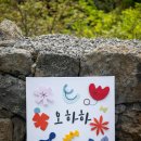 오늘 하루도 제주 이미지