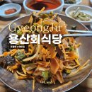 용산식당 | 경주 용산회식당 웨이팅 주차 회덮밥 솔직후기