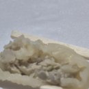 중앙 김밥나라 만두천국 이미지