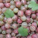 와인의 이해 이미지