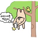 고척스카이돔 관리동 이미지