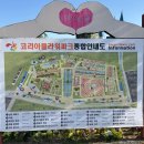꽃파는 아저씨 | 2026 태안 튤립 축제 주말 방문 후기 🌷 강아지와 함께한 태안세계튤립꽃박람회