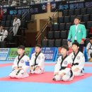 튼튼합기도 이미지