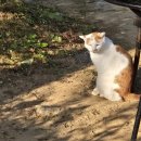 남해-252 | 군포 산본 홍종흔 베이커리 맛집｜정원 뷰 예쁜 대형 베이커리 카페