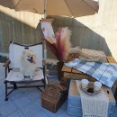 개들랜드 이미지