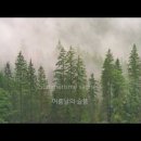 Lana Del Rey - Summertime Sadness 이미지