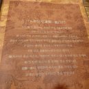 노독일처 이미지