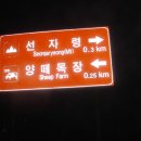 진고개민박 이미지
