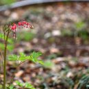 성남시립식물원 이미지