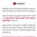 블루션 이미지