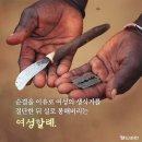 순결을 이유로 행해지는 여성할례 이미지