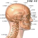 청미술학원 이미지