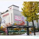 분당하얀치과의원 이미지