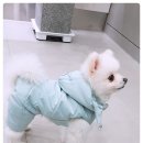 닥터팬더 동물병원 이미지