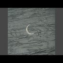 동백장모텔 | 그 애의 웃는 모습은 활짝 핀 목련꽃 같아.