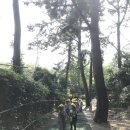 2018년 9월 송수초등학교병설유치원 가족참여 숲활동 이미지