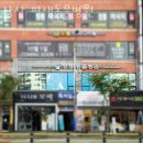 삼산평생동물병원 | 인천 삼산동 동물병원 삼산 평생동물병원 위치 오는길 후기