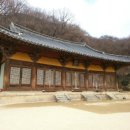 풍기인삼농협