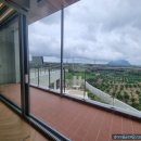 영어마을금손공인중개사사무소 이미지