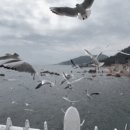 삼사슈퍼 이미지