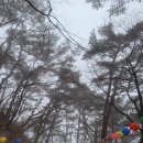 모전카서비스 | 2021.01.22.금 :: 경주와 포항 여행, 정말 너무너무너무 화났던 양아치 렌트카 업체 신고할거야
