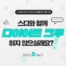 스타일디