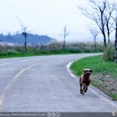 남창원동물병원 이미지