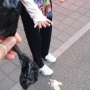 까까 주시개 이미지