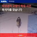 양구 고양이 학대범이 10세 미만 초등생이라니…처벌 고심 이미지