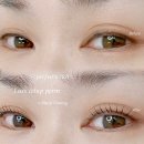 윤셀스튜디오