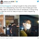 홍콩차우 이미지