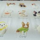 반하다펫 이미지