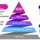 에스화장품