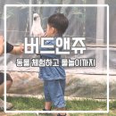 아쿠아앤쥬 | 청주 아기랑 갈만한 곳 버드앤쥬, 동물 체험부터 물놀이까지 한 번에!