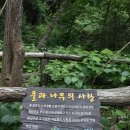 산막이약수터 이미지