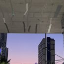 10월 셋째주