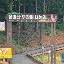 남동구 장아산근린공원 무장애나눔길 네이버블로그