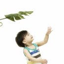 레드디어 이미지