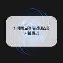 체형교정필라테스 네이버블로그