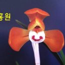 천향원 이미지