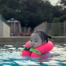 갈미원 이미지