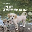 댕댕이계곡펜션 이미지