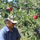 김영찬 농장 이미지