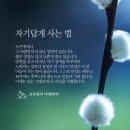 SOUL(쏘울) 이미지