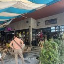 이&강라이브카페 | 방콕 아이콘 시암 팁사마이 + L7 카페 아기 사자 + 오퓰런스 디너 크루즈 후기 (짜오프라야강 야경 코스)