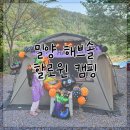 8 | 밀양 해브솔 키즈캠핑 할로윈캠핑 사이트8 후기